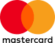 visa icon