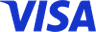 visa icon