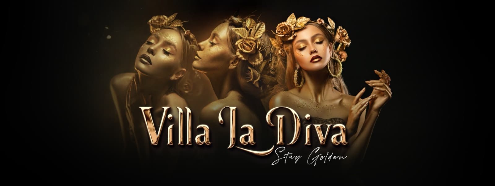 فيلا لا ديڤا cover image